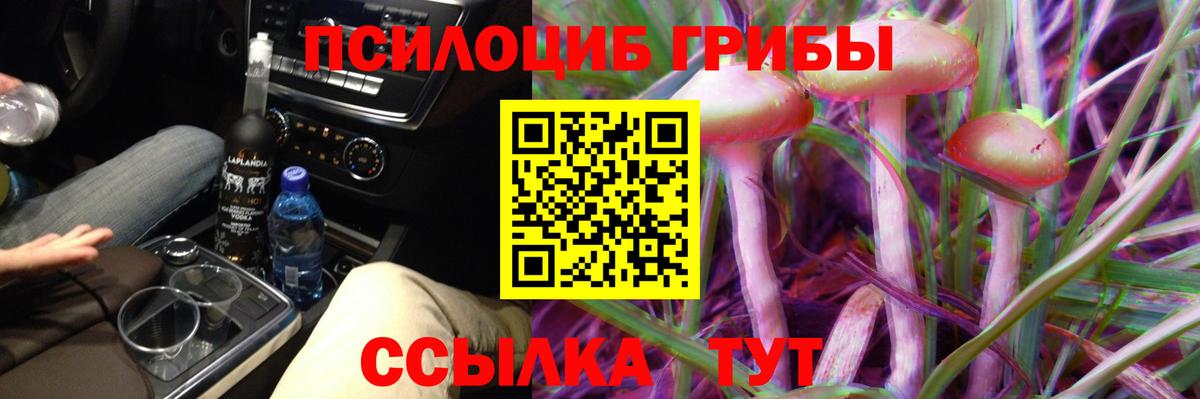 Ахтубинск  наркотики  Вход с VPN  Галлюциногенные грибы GOLDEN TEACHER 